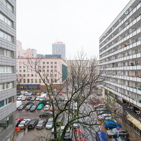 Rent Like - Zlota 6 *